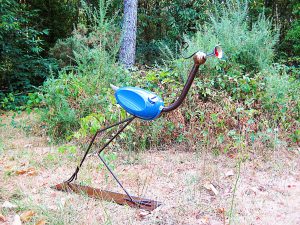 LA BERLUE (Envoi uniquement par transporteur, me contacter!)