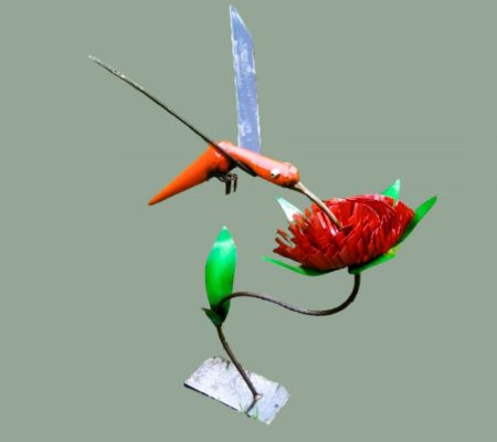 Colibri dit "La carotte volante"
